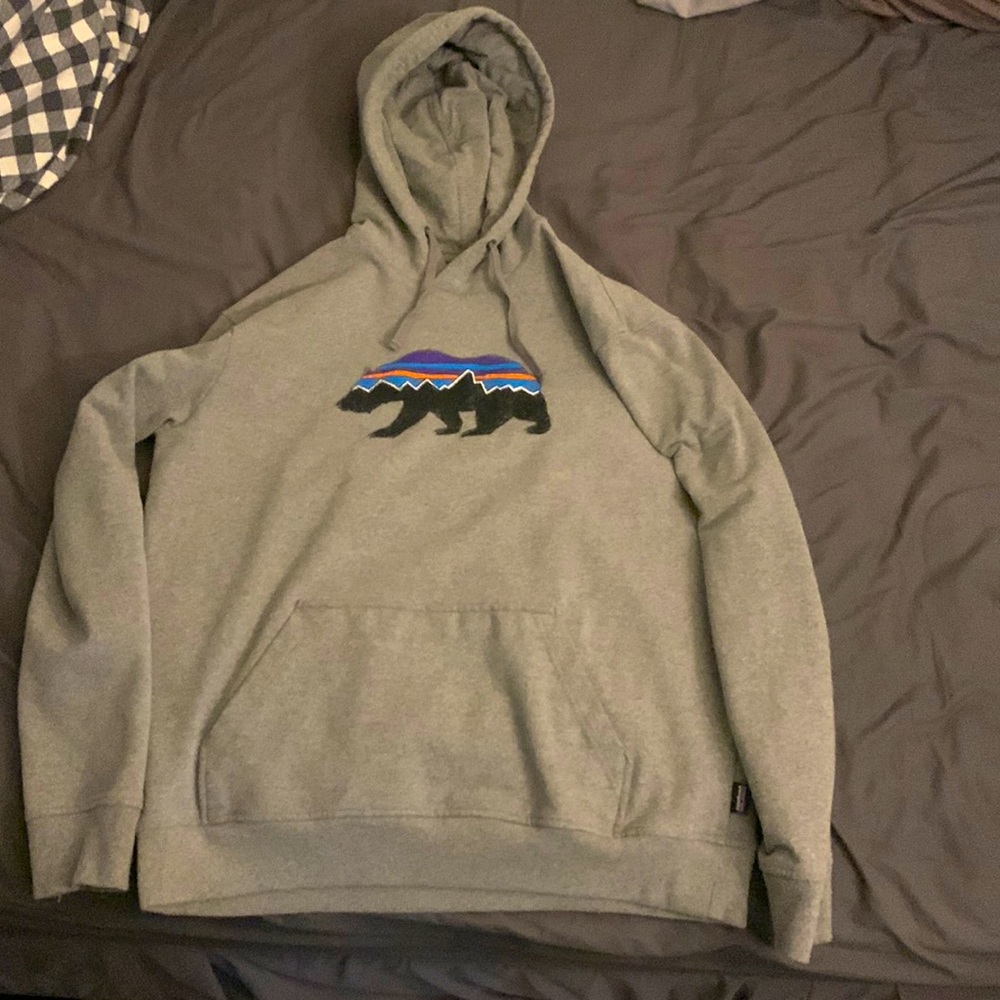 Patagonia Grey Hoodie